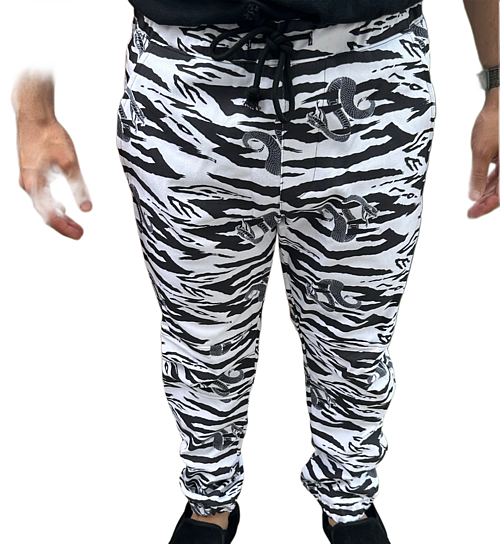 Screenshot2025-12-11at111258AM-Picsart-BackgroundRemover